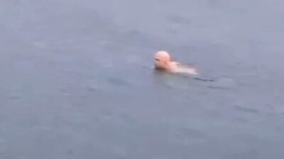 Bursa’nın Mudanya ilçesinde hava sıcaklığının sıfırın altında seyrettiği sabah saatlerinde