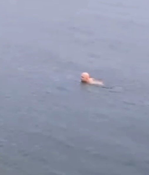 Bursa’nın Mudanya ilçesinde hava sıcaklığının sıfırın altında seyrettiği sabah saatlerinde