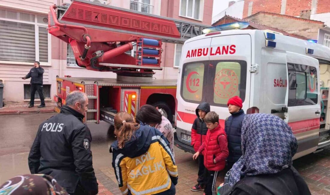Bursa’nın İnegöl ilçesinde apartmanın 3. katında çıkan yangında 5 kediden