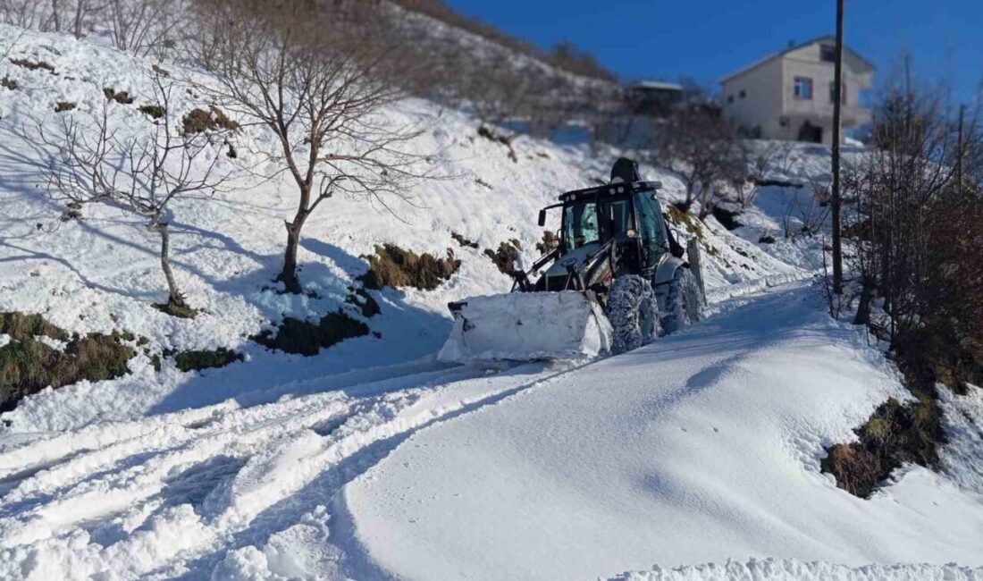 Trabzon Büyükşehir Belediyesi, şehir genelinde etkili olan kar yağışına karşı