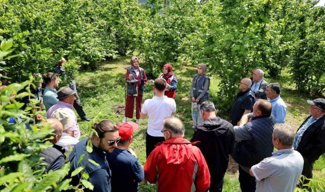 Sakarya Büyükşehir Belediyesi Tarımsal Hizmetler Dairesi Başkanlığı, 2025 yılında yürütülen