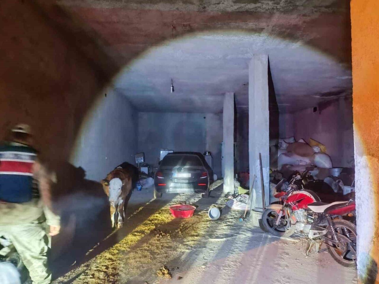 Şanlıurfa’nın Akçakale ilçesinde evinin ahırında çalıntı otomobil saklayan kişi jandarma