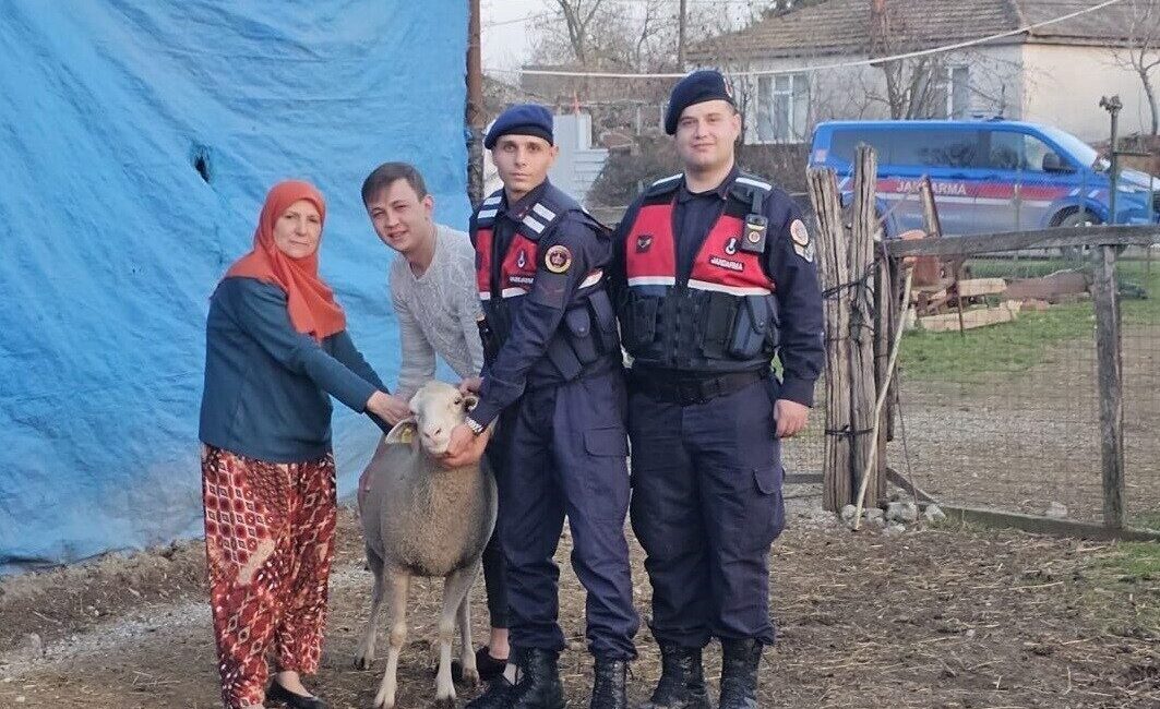 Çanakkale’de kaybolan 24 küçükbaş hayvan jandarma tarafından bulunarak sahibine teslim