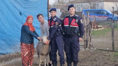 Çanakkale’de kaybolan 24 küçükbaş hayvan jandarma tarafından bulunarak sahibine teslim