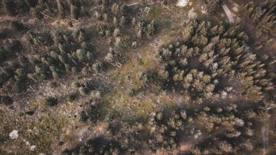 Çanakkale’nin Eceabat ilçesinde Türklerin Balkanlara geçişindeki ilk mezarlık keşfedildi. Mezarlıkta