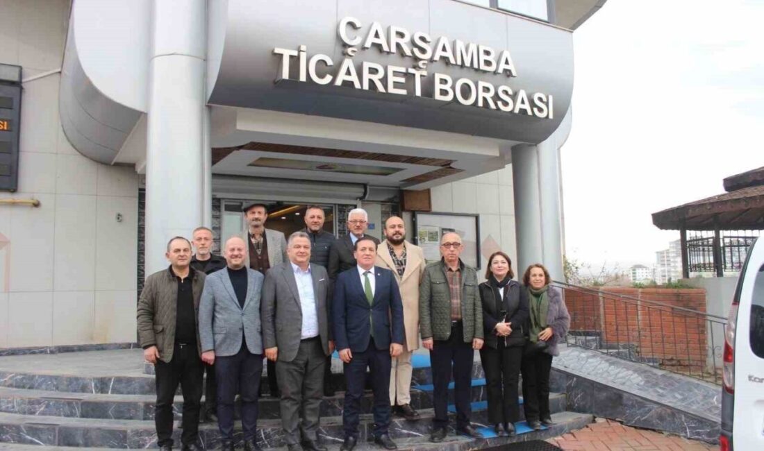Samsun’un Çarşamba ilçe ekonomisinin mevcut durumu ve gelişim potansiyeli, Çarşamba