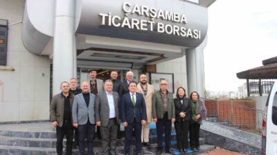 Samsun’un Çarşamba ilçe ekonomisinin mevcut durumu ve gelişim potansiyeli, Çarşamba