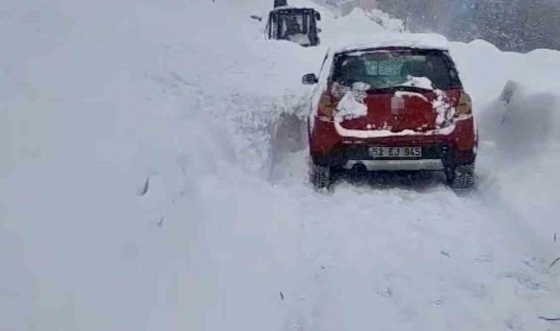 Van’ın Çatak ilçesinde mahalle yoluna çığ düşerken, o esnada yolda