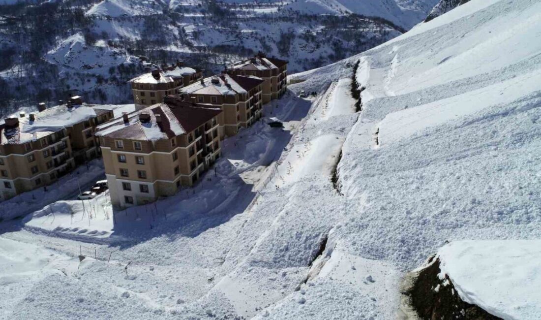 Van’ın Çatak ilçesinde toplu konutların bulunduğu bölgeye gece saatlerinde iki