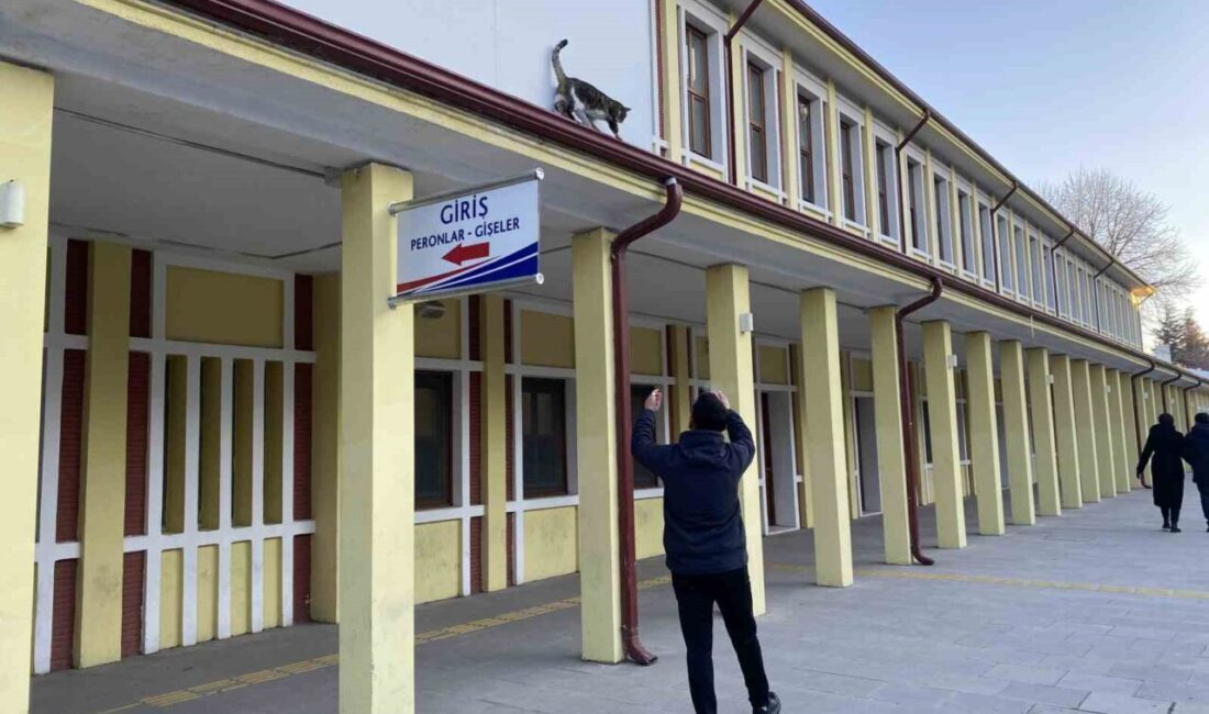 Eskişehir’de geçtiğimiz günlerde çatıda mahsur kalmış gibi bağırıp kendisini kurtarmaya