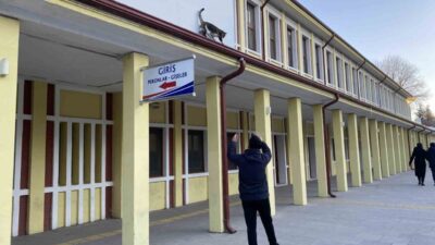 Eskişehir’de geçtiğimiz günlerde çatıda mahsur kalmış gibi bağırıp kendisini kurtarmaya