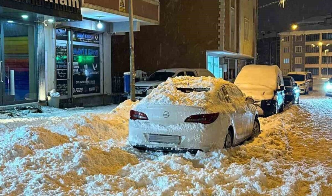 Muş’ta 5 katlı bir binanın çatısından kayan kar kütlesi, park