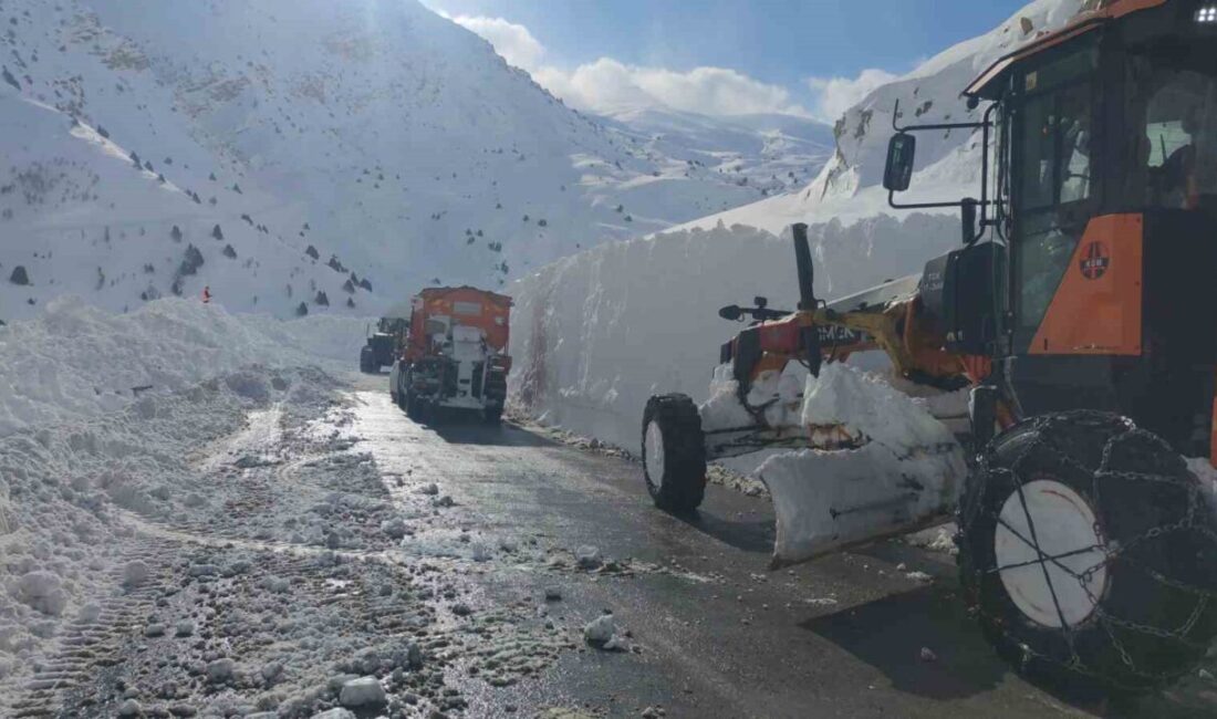 Van-Bahçesaray yoluna düşen çığı temizlemek için bölgede çalışma yürüten karayollarına