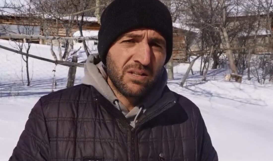 Artvin’in Ardanuç ilçesine bağlı Zekeriya köyü Aksu Dağı bölgesinde 31