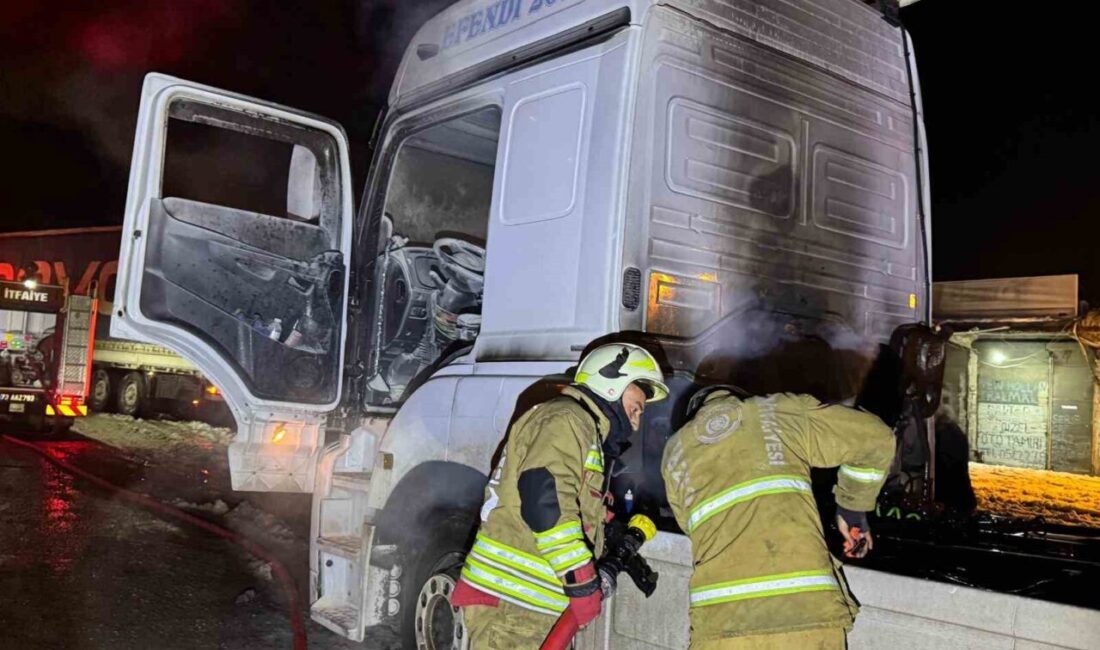 Şırnak’ın Cizre ilçesinde seyir halindeki TIR alevlere teslim oldu. İtfaiye