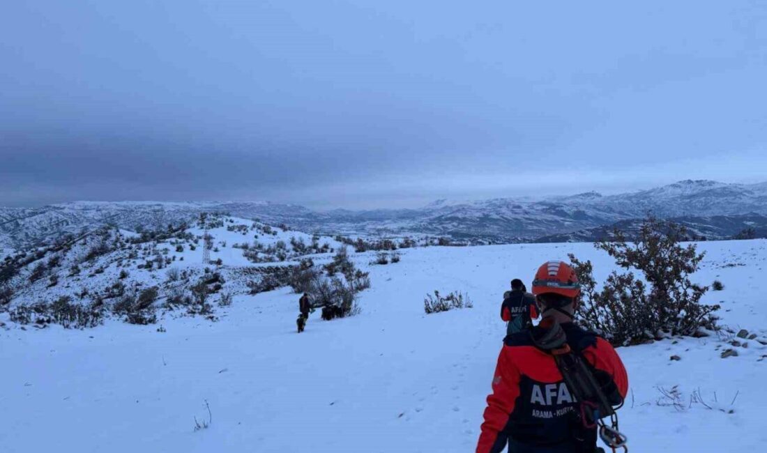 Siirt Baykan ilçesinde 9 keçisiyle 3 gündür mahsur kalan çoban