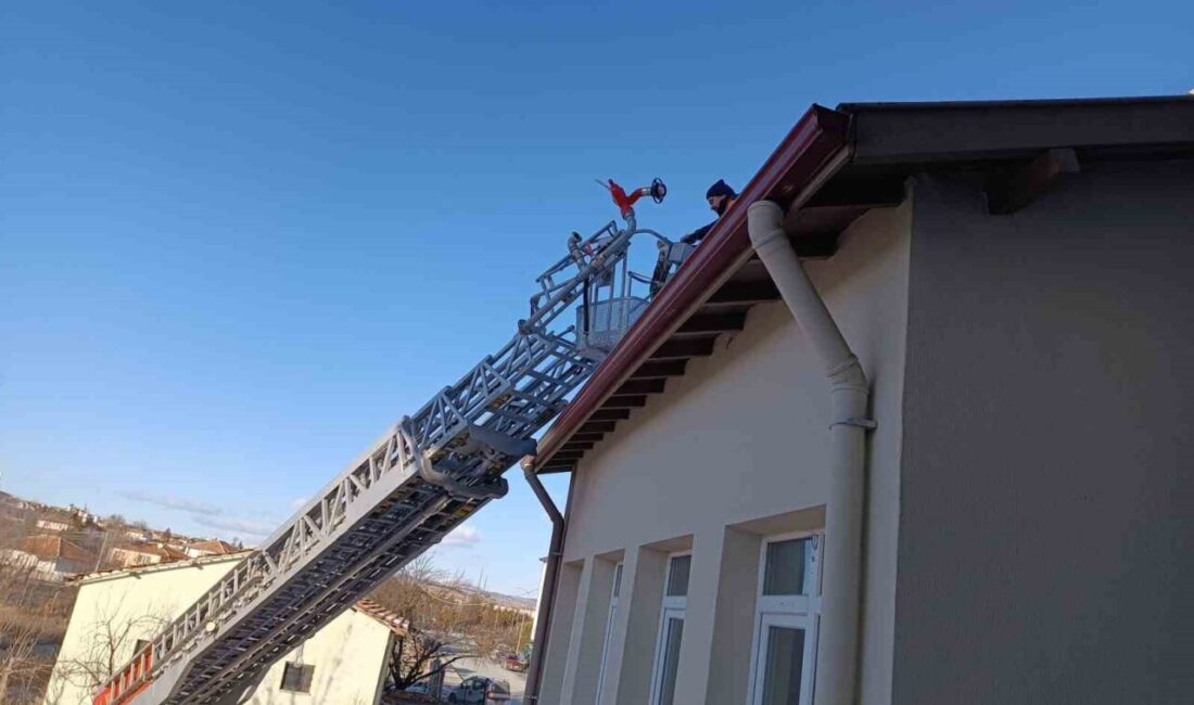 Çorum’un Alaca ilçesinde, binasının çatısında mahsur kalan kedi, itfaiye ekiplerinin