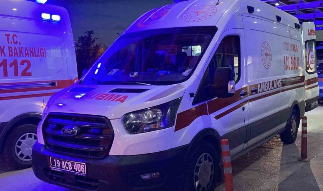 Çorum’da husumetlisi tarafından pompalı tüfekle vurulan bir genç hayatını kaybetti.