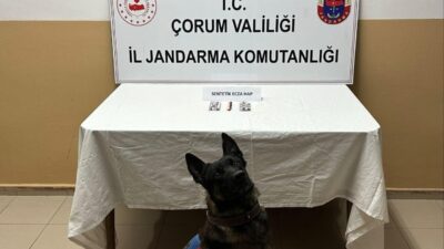 Çorum’un Alaca ilçesinde jandarma ekipleri tarafından 32 adet sentetik ecza