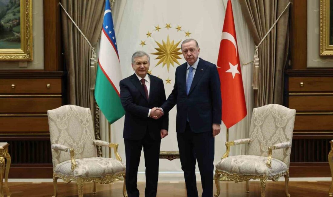Cumhurbaşkanı Recep Tayyip Erdoğan, Özbekistan Cumhurbaşkanı Şevket Mirziyoyev ile düzenlediği