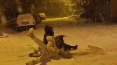 Malatya’nın Darende ilçesinde etkili olan kar yağışı ilçeyi beyaza bürünürken,