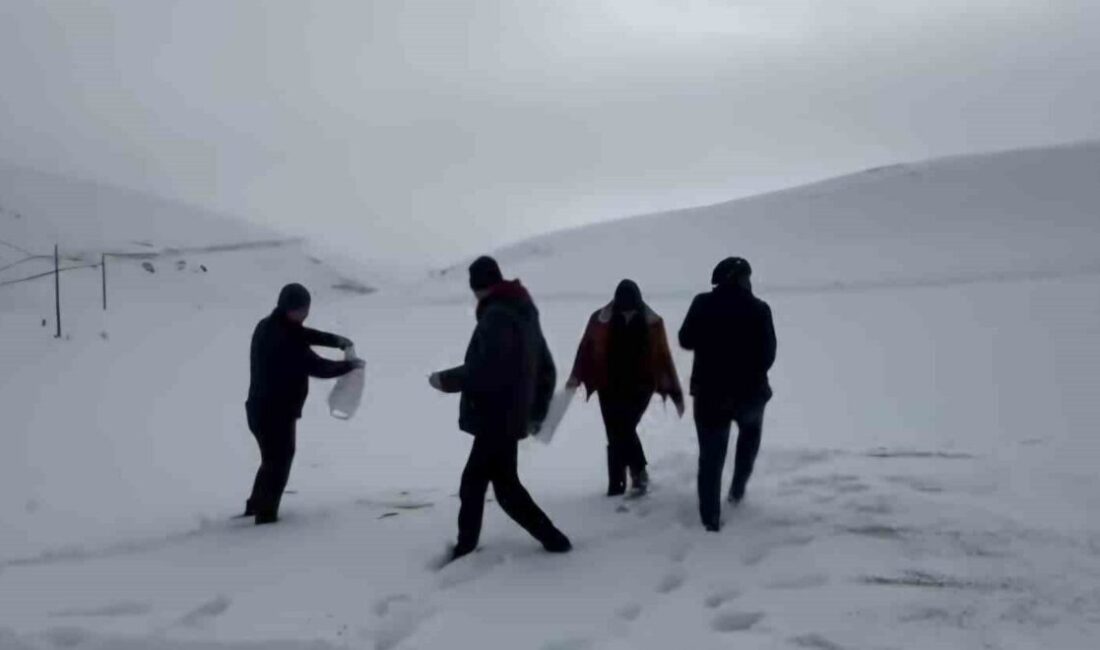 Malatya’nın Darende ilçesinde öğretmen öğrenciler kış aylarında yiyecek bulmakta zorlanan