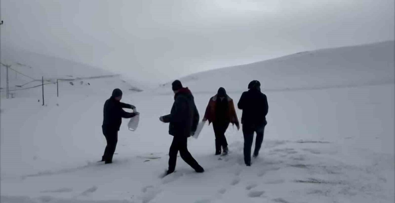 Malatya’nın Darende ilçesinde öğretmen öğrenciler kış aylarında yiyecek bulmakta zorlanan