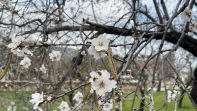 Türkiye’nin birçok bölgesinde kış mevsimi soğuk hava, don ve kar