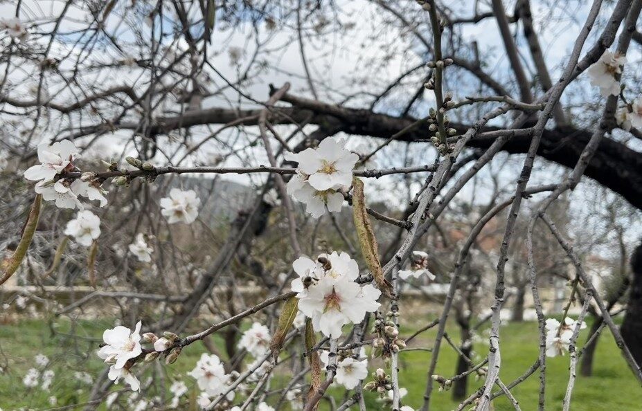 Türkiye’nin birçok bölgesinde kış mevsimi soğuk hava, don ve kar