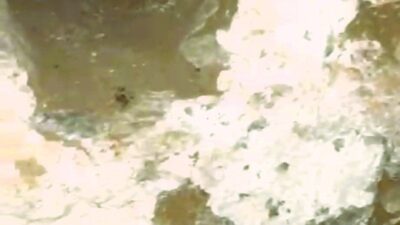 Denizli’nin Buldan ilçesinde bulunan yaklaşık 3 asırlık tarihi tamamda kaçak