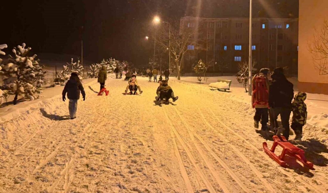Bayburt’un Demirözü ilçesinde gerçekleştirilen Kızak Festivali, dondurucu soğukta renkli görüntülere