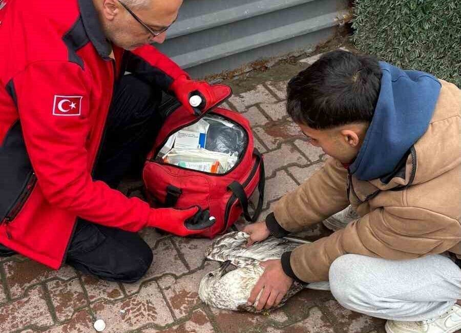 Bursa’nın Mudanya ilçesinde denizde balık tutan amatör bir balıkçının oltasına