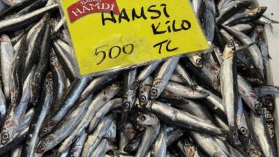 Kocaeli’deki tezgahlarda balık miktarı azaldı. Balıkçı Kemal Bineklioğlu, “Bu sene