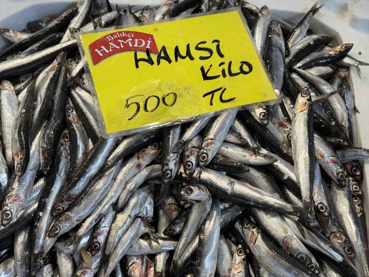 Kocaeli’deki tezgahlarda balık miktarı azaldı. Balıkçı Kemal Bineklioğlu, “Bu sene