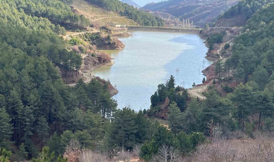 Denizli’de Aktaş, Hasanbeyler ve Dımbazlar göletlerinde son yağışlarla birlikte su