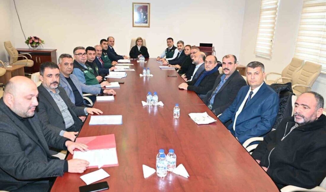 AK Parti Malatya Milletvekili İnanç Siraç Kara Ölmeztoprak, DSİ Malatya