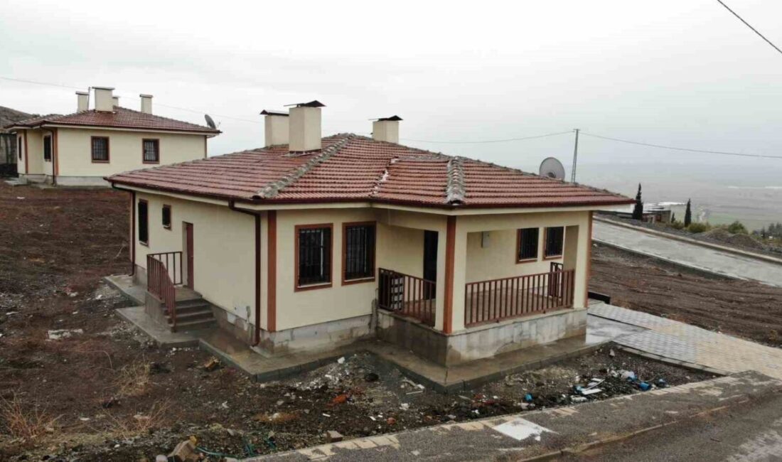 Kahramanmaraş merkezli 6 Şubat depremlerinin ardından uzun süre konteynerde hayat