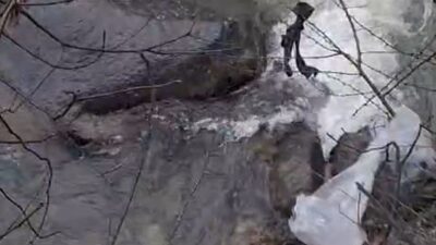 Giresun’un Dereli ilçesinde dere içindeki kayalıkların üzerinde mahsur kalan köpek