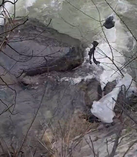 Giresun’un Dereli ilçesinde dere içindeki kayalıkların üzerinde mahsur kalan köpek