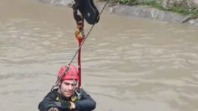Karabağlar Aşık Veysel Mahallesi’nde dereye düşerek mahsur kalan bir köpek