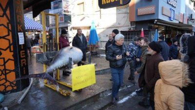 Atlantik Okyanusu’ndan avlanan 365 kiloluk dev orkinos Erzincan’da balık tezgâhında