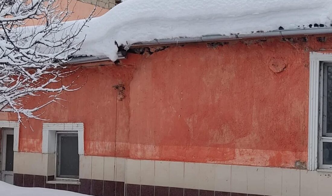 Kayseri’de etkili olan kar yağışı sonrasında Develi ve Tomarza ilçelerinde