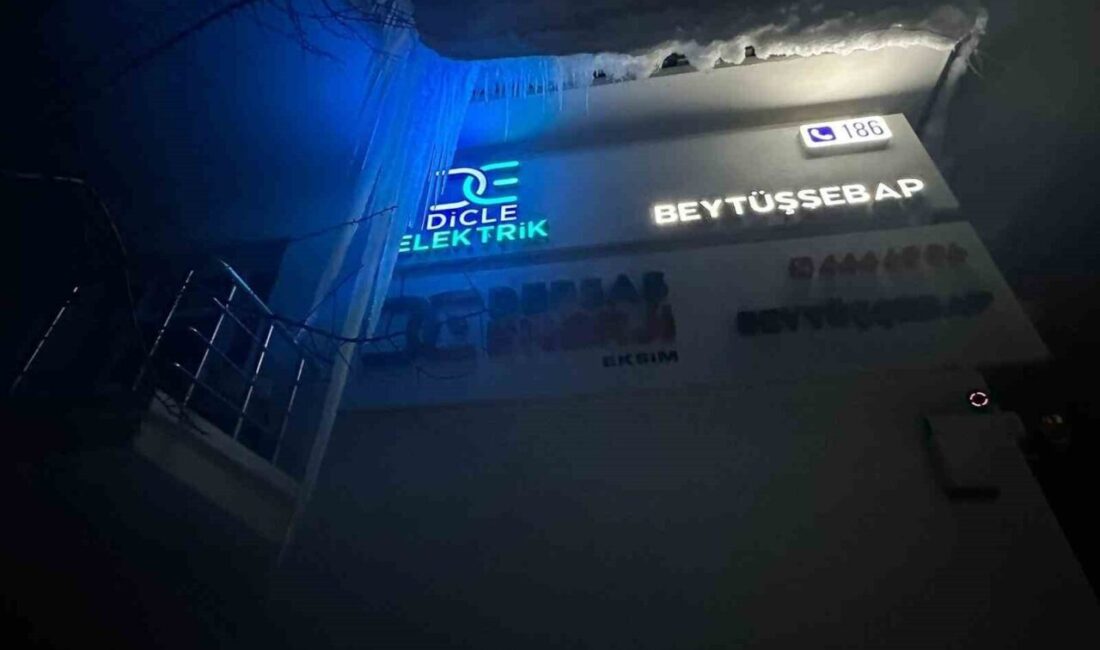 Güneydoğu Anadolu Bölgesi’nde etkili olan yoğun kar yağışı ve zorlu