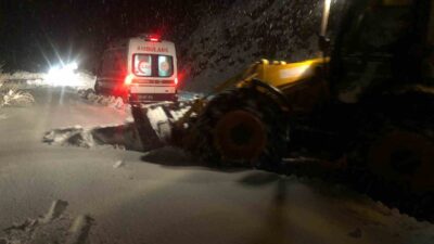 Diyarbakır’da Dicle Kaymakamı Mustafa Atış, kaymakamlık koordinesinde ilgili kurumlar tarafından