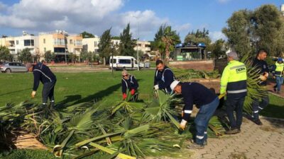 Didim Belediyesi, kent estetiğini korumak ve halkın daha yeşil, daha
