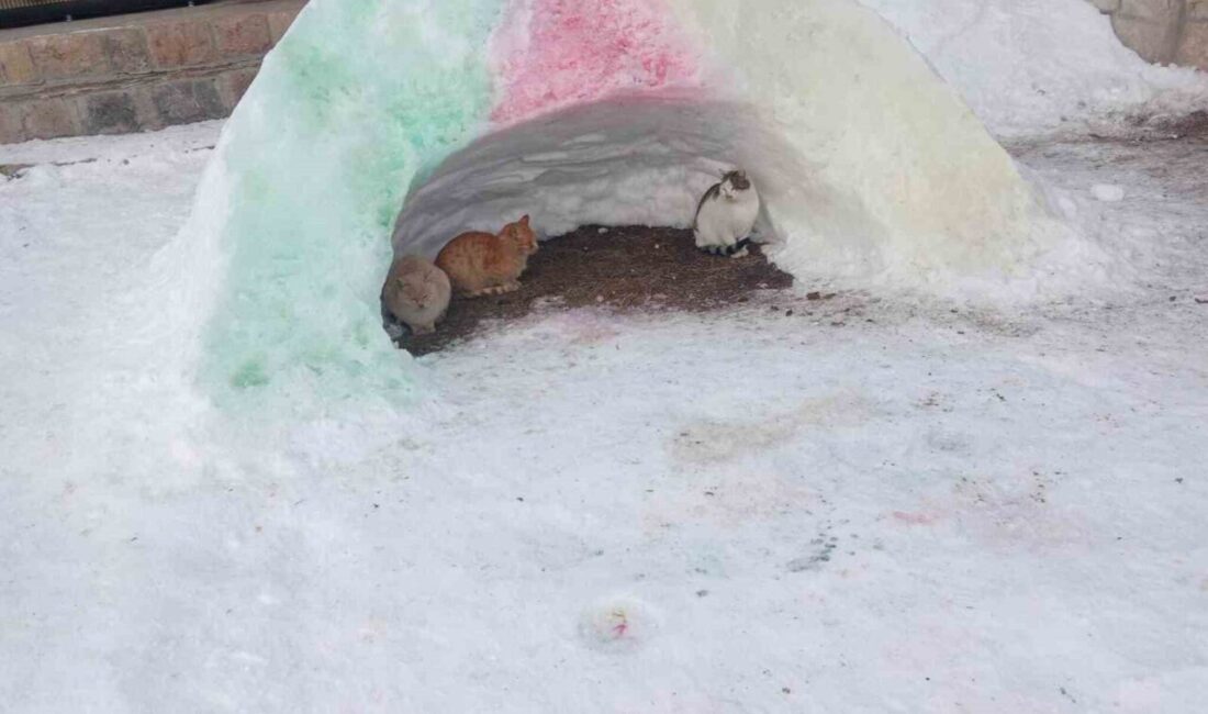 Ağrı’nın Diyadin ilçesinde etkili olan yoğun kar ve dondurucu soğuklar,