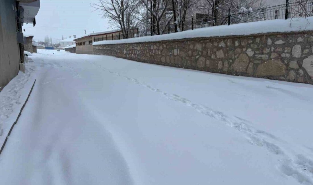 İlçe genelinde aralıksız devam eden kar yağışıyla birlikte yolların kayganlaşması,