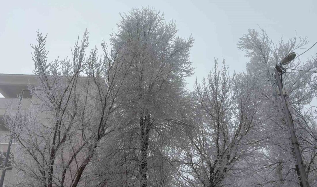 Ağrı’nın Diyadin ilçesinde sabah saatlerinde etkili olan yoğun sis, günlük