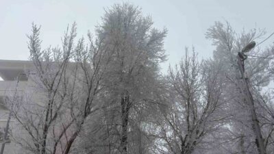 Ağrı’nın Diyadin ilçesinde sabah saatlerinde etkili olan yoğun sis, günlük