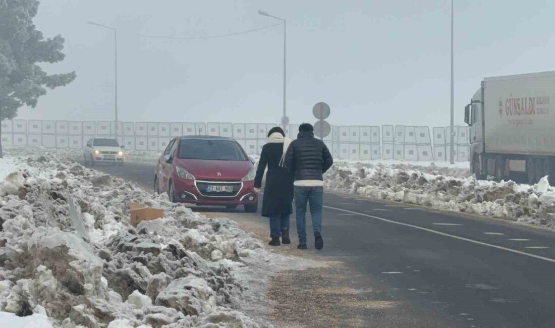 Diyarbakır’da gece etkili olan sis sabah saatlerinde de etkisini sürdürdü.